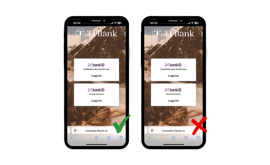illustrasjonsbilde avdekk falske nettsider